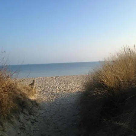 Lino 奥斯特西巴德钦诺维茨